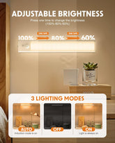 Light fixture with adjustable brightness control and three lighting modes displayed in a room setting.